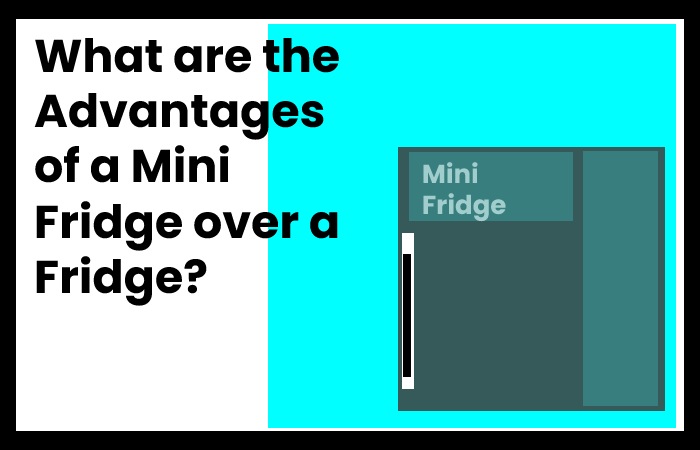 What are the Advantages of a Mini Fridge over a Fridge?