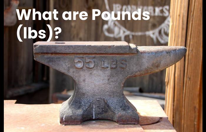 What are Pounds (lbs)?