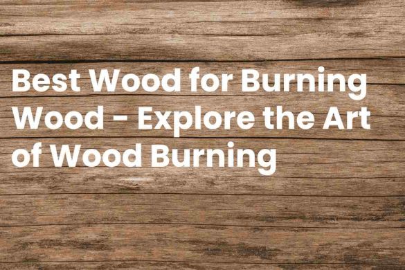 Best Wood for Burning Wood - Explore the Art of Wood Burning